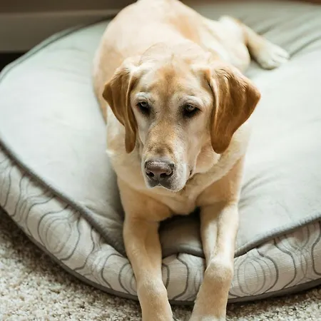 Apartment Modernes 95 Qm Nahe Rulantica Garten Parkplatz Wlan